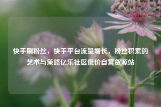 快手刷粉丝，快手平台流量增长，粉丝积累的艺术与策略亿乐社区低价自营货源站