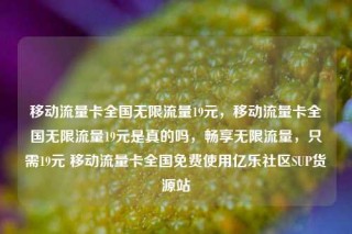 移动流量卡全国无限流量19元，移动流量卡全国无限流量19元是真的吗，畅享无限流量，只需19元 移动流量卡全国免费使用亿乐社区SUP货源站