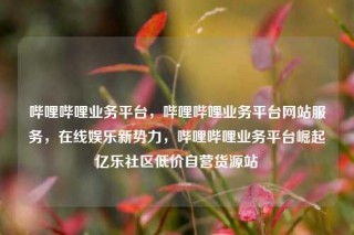 哔哩哔哩业务平台，哔哩哔哩业务平台网站服务，在线娱乐新势力，哔哩哔哩业务平台崛起亿乐社区低价自营货源站