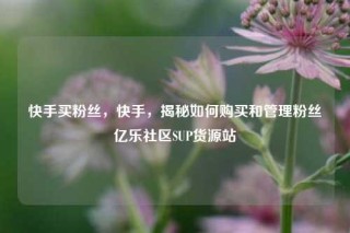 快手买粉丝，快手，揭秘如何购买和管理粉丝亿乐社区SUP货源站