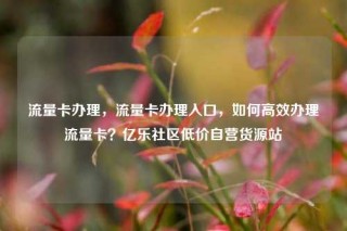 流量卡办理，流量卡办理入口，如何高效办理流量卡？亿乐社区低价自营货源站