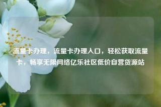 流量卡办理，流量卡办理入口，轻松获取流量卡，畅享无限网络亿乐社区低价自营货源站
