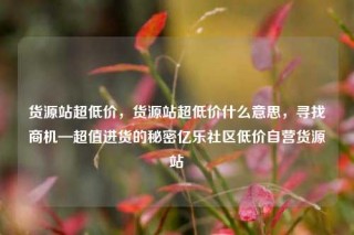 货源站超低价，货源站超低价什么意思，寻找商机—超值进货的秘密亿乐社区低价自营货源站