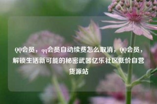 QQ会员，qq会员自动续费怎么取消，QQ会员，解锁生活新可能的秘密武器亿乐社区低价自营货源站