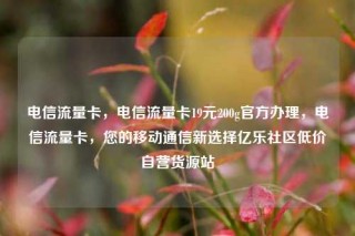 电信流量卡，电信流量卡19元200g官方办理，电信流量卡，您的移动通信新选择亿乐社区低价自营货源站