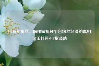 抖音买粉丝，揭秘短视频平台粉丝经济的真相亿乐社区SUP货源站