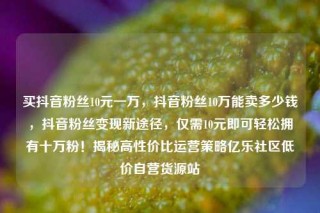 买抖音粉丝10元一万，抖音粉丝10万能卖多少钱，抖音粉丝变现新途径，仅需10元即可轻松拥有十万粉！揭秘高性价比运营策略亿乐社区低价自营货源站