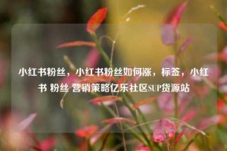 小红书粉丝，小红书粉丝如何涨，标签，小红书 粉丝 营销策略亿乐社区SUP货源站