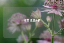 抖音 流量分析