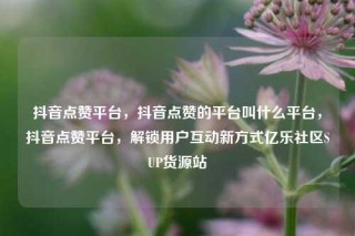 抖音点赞平台，抖音点赞的平台叫什么平台，抖音点赞平台，解锁用户互动新方式亿乐社区SUP货源站