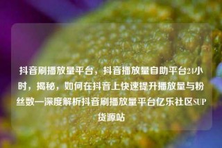抖音刷播放量平台，抖音播放量自助平台24小时，揭秘，如何在抖音上快速提升播放量与粉丝数—深度解析抖音刷播放量平台亿乐社区SUP货源站