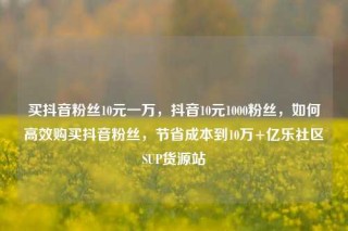 买抖音粉丝10元一万，抖音10元1000粉丝，如何高效购买抖音粉丝，节省成本到10万+亿乐社区SUP货源站