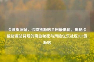 卡盟货源站，卡盟货源站全网最低价，揭秘卡盟货源站背后的商业秘密与风险亿乐社区SUP货源站