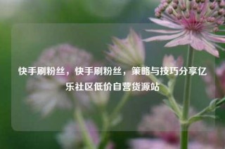 快手刷粉丝，快手刷粉丝，策略与技巧分享亿乐社区低价自营货源站