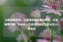 抖音刷播放量，抖音增加播放量的软件，抖音刷播放量，揭秘高人气背后的秘密亿乐社区SUP货源站