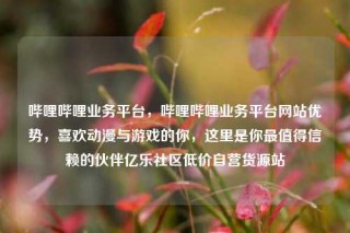 哔哩哔哩业务平台，哔哩哔哩业务平台网站优势，喜欢动漫与游戏的你，这里是你最值得信赖的伙伴亿乐社区低价自营货源站