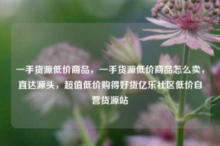 一手货源低价商品，一手货源低价商品怎么卖，直达源头，超值低价购得好货亿乐社区低价自营货源站