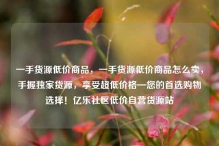 一手货源低价商品，一手货源低价商品怎么卖，手握独家货源，享受超低价格—您的首选购物选择！亿乐社区低价自营货源站