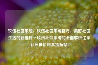 玖伍社区系统，玖伍社区系统官方，美好社区生活的新选择—玖伍社区系统的全面解析亿乐社区低价自营货源站