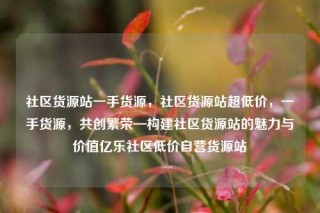 社区货源站一手货源，社区货源站超低价，一手货源，共创繁荣—构建社区货源站的魅力与价值亿乐社区低价自营货源站