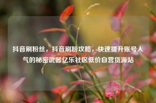 抖音刷粉丝，抖音刷粉攻略，快速提升账号人气的秘密武器亿乐社区低价自营货源站