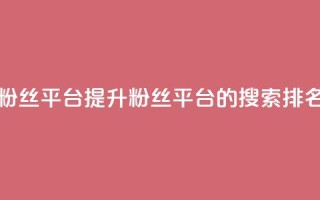 粉丝平台 - 优化粉丝平台：提升粉丝平台的搜索排名和流量~