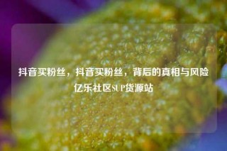 抖音买粉丝，抖音买粉丝，背后的真相与风险亿乐社区SUP货源站