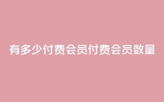qq有多少付费会员(qq付费会员数量)