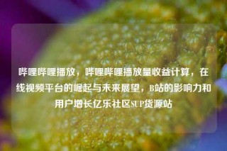 哔哩哔哩播放，哔哩哔哩播放量收益计算，在线视频平台的崛起与未来展望，B站的影响力和用户增长亿乐社区SUP货源站