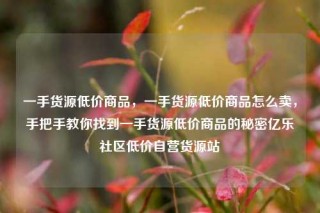 一手货源低价商品，一手货源低价商品怎么卖，手把手教你找到一手货源低价商品的秘密亿乐社区低价自营货源站