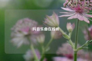 抖音乐曲在线听
