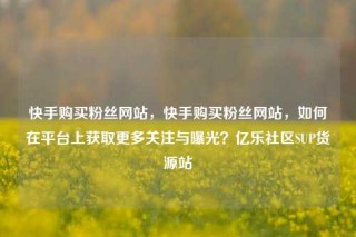 快手购买粉丝网站，快手购买粉丝网站，如何在平台上获取更多关注与曝光？亿乐社区SUP货源站