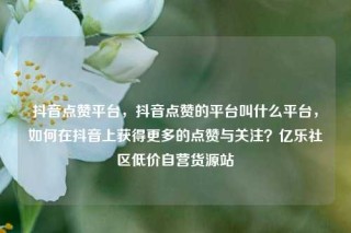 抖音点赞平台，抖音点赞的平台叫什么平台，如何在抖音上获得更多的点赞与关注？亿乐社区低价自营货源站