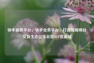 快手业务平台，快手业务平台，打造短视频社交新生态亿乐社区SUP货源站