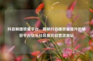 抖音刷播放量平台，揭秘抖音播放量提升的秘密平台亿乐社区低价自营货源站
