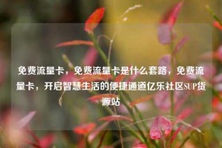 免费流量卡，免费流量卡是什么套路，免费流量卡，开启智慧生活的便捷通道亿乐社区SUP货源站