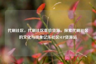代刷社区，代刷社区低价货源，探索代刷社区的文化与现象亿乐社区SUP货源站