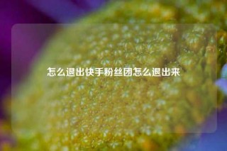 怎么退出快手粉丝团怎么退出来
