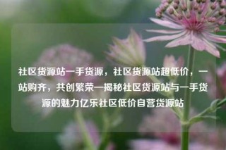 社区货源站一手货源，社区货源站超低价，一站购齐，共创繁荣—揭秘社区货源站与一手货源的魅力亿乐社区低价自营货源站