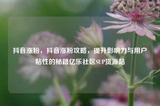 抖音涨粉，抖音涨粉攻略，提升影响力与用户粘性的秘籍亿乐社区SUP货源站