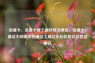 流量卡，流量卡哪个最好用又便宜，流量卡，满足不同需求的通信工具亿乐社区低价自营货源站