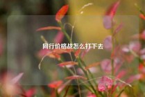 同行价格战怎么打下去