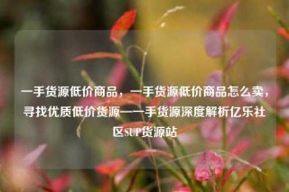 一手货源低价商品，一手货源低价商品怎么卖，寻找优质低价货源—一手货源深度解析亿乐社区SUP货源站