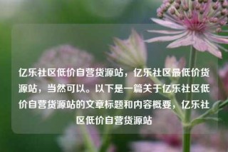 亿乐社区低价自营货源站，亿乐社区最低价货源站，当然可以。以下是一篇关于亿乐社区低价自营货源站的文章标题和内容概要，亿乐社区低价自营货源站