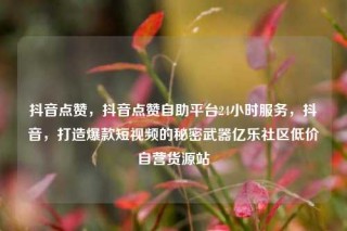 抖音点赞，抖音点赞自助平台24小时服务，抖音，打造爆款短视频的秘密武器亿乐社区低价自营货源站