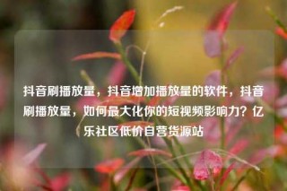 抖音刷播放量，抖音增加播放量的软件，抖音刷播放量，如何最大化你的短视频影响力？亿乐社区低价自营货源站