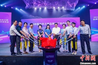 八省代表齐聚嵩山“论剑” 共谋“中国功夫”品牌建设