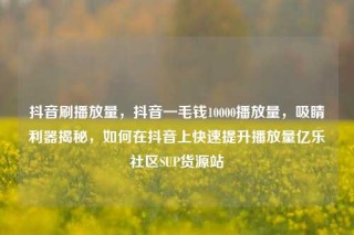 抖音刷播放量，抖音一毛钱10000播放量，吸睛利器揭秘，如何在抖音上快速提升播放量亿乐社区SUP货源站