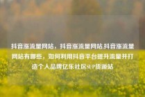 抖音涨流量网站，抖音涨流量网站,抖音涨流量网站有哪些，如何利用抖音平台提升流量并打造个人品牌亿乐社区SUP货源站