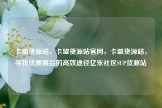 卡盟货源站，卡盟货源站官网，卡盟货源站，寻找优质商品的高效途径亿乐社区SUP货源站